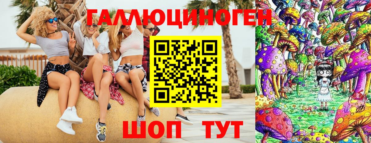 Галлюциногенные грибы прущие грибы  Вход с VPN  Новозыбков 