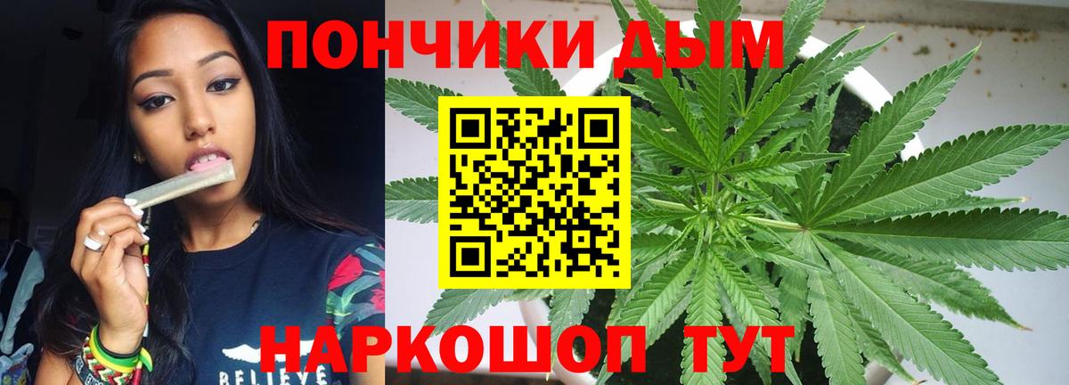 Новозыбков  Шишки марихуана ГИДРОПОН  Конопля Ganja  Конопля OG Kush  Вход с VPN 